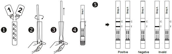 strep-a-group-a-streptococcus-rapid-test-biozek